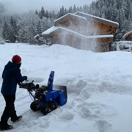 Villa La Jolie Bergere Morzine Exterior foto